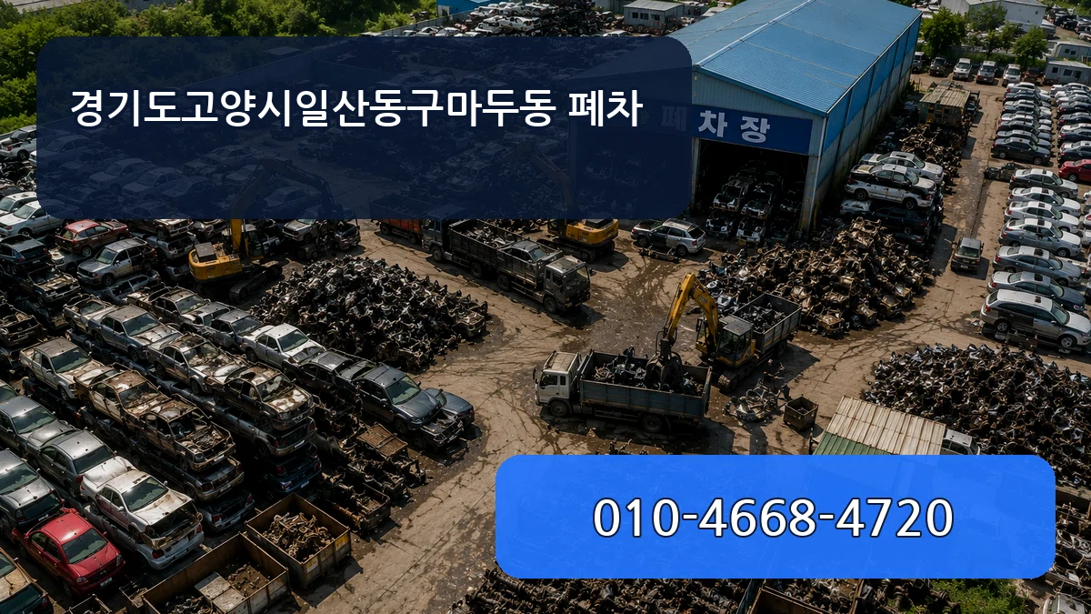 경기도고양시일산동구마두동 폐차 질문형
