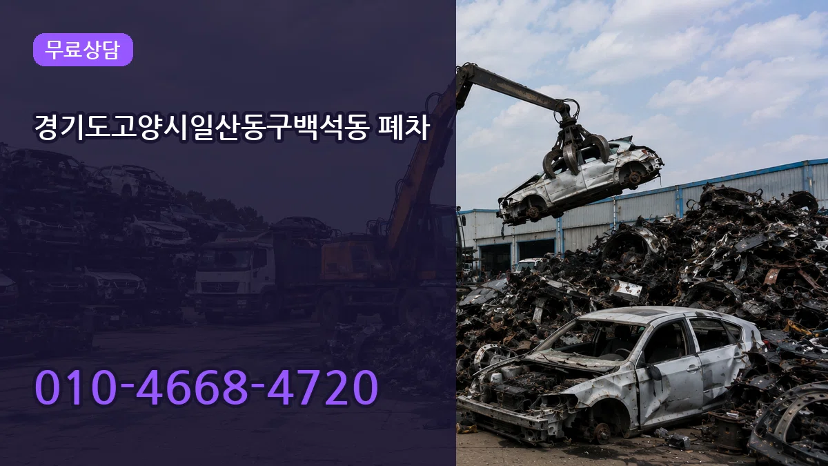 경기도고양시일산동구백석동 폐차 서류형