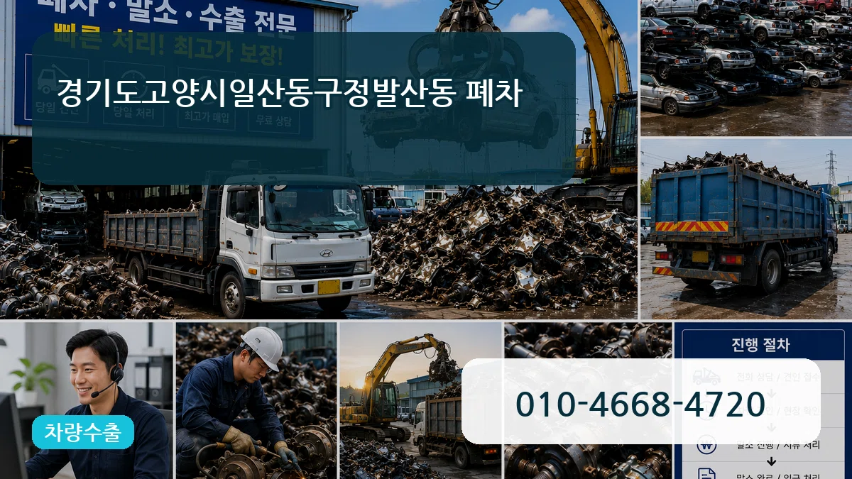 경기도고양시일산동구정발산동 폐차 비교형