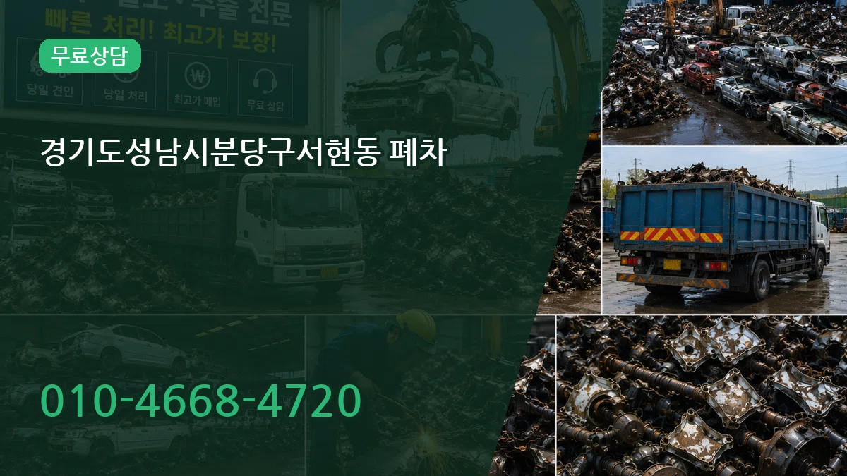 경기도성남시분당구서현동 폐차 비교형