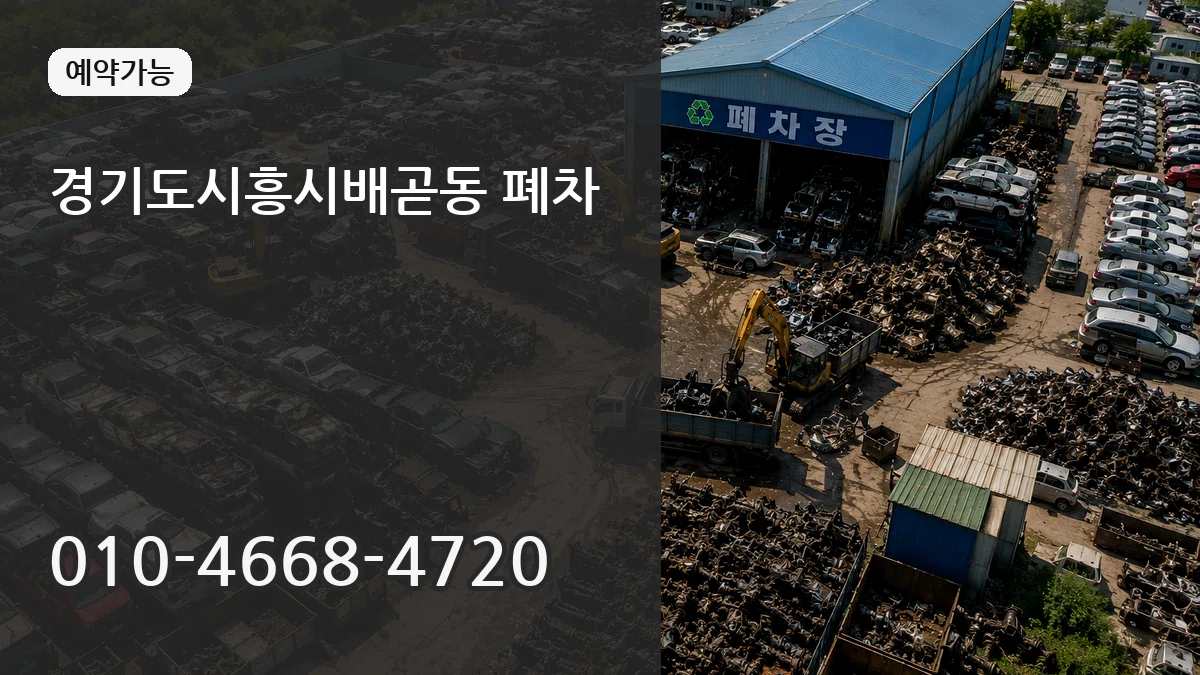 경기도시흥시배곧동 폐차 주의사항형