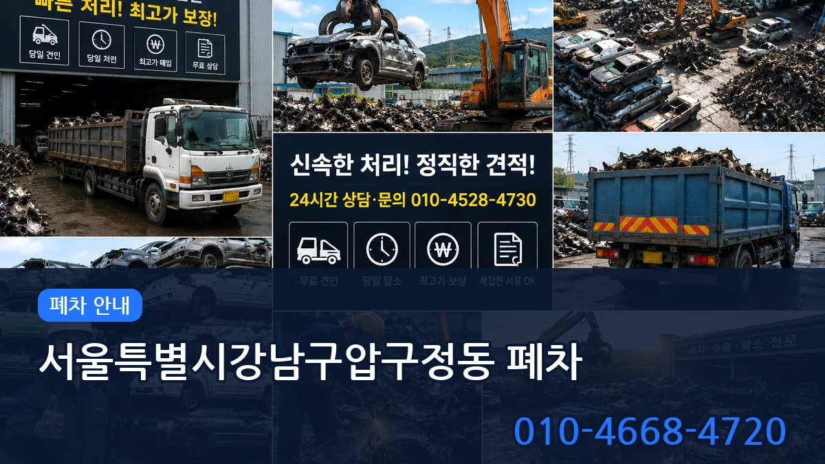 서울특별시강남구압구정동 폐차 비교형