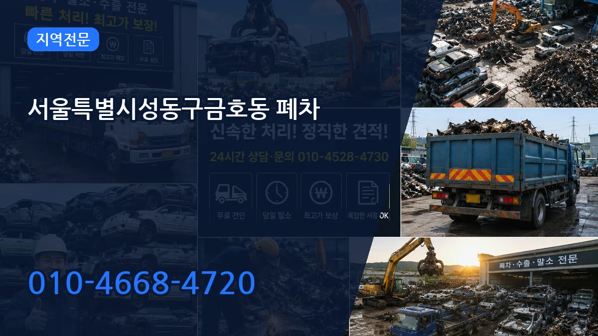 서울특별시성동구금호동 폐차 비교형