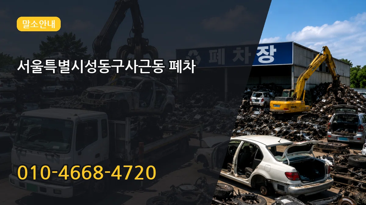 서울특별시성동구사근동 폐차 질문형