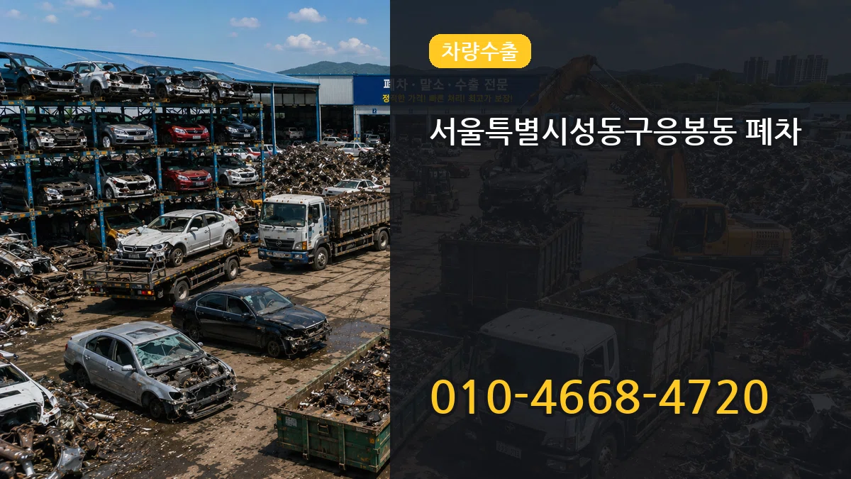 서울특별시성동구응봉동 폐차 비용형
