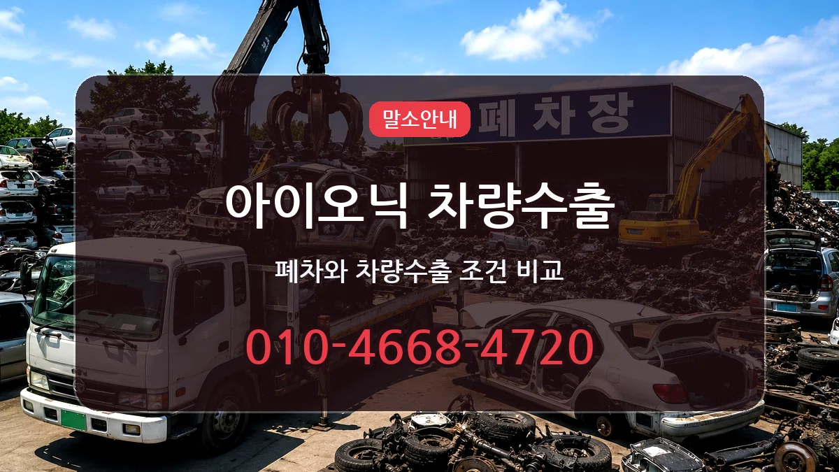 아이오닉 차량수출 질문형