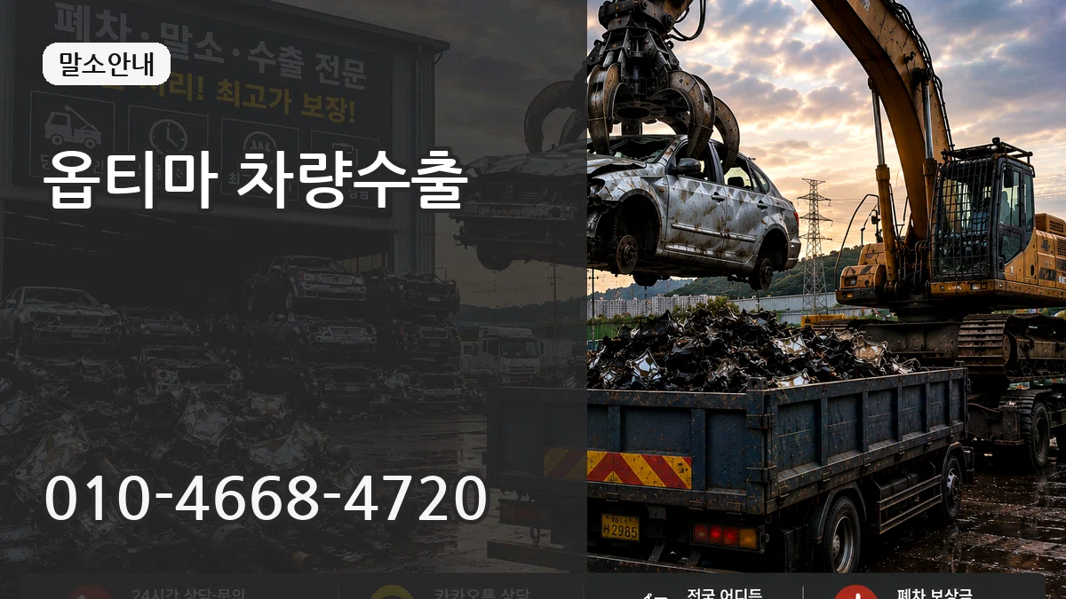 옵티마 차량수출 사례형