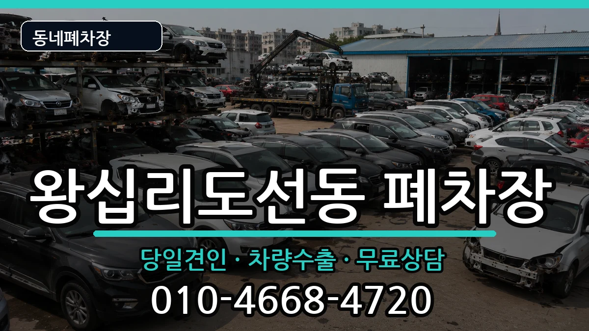 서울특별시성동구왕십리도선동 폐차 서울특별시성동구왕십리도선동 폐차 차량 처리 안내 이미지 2