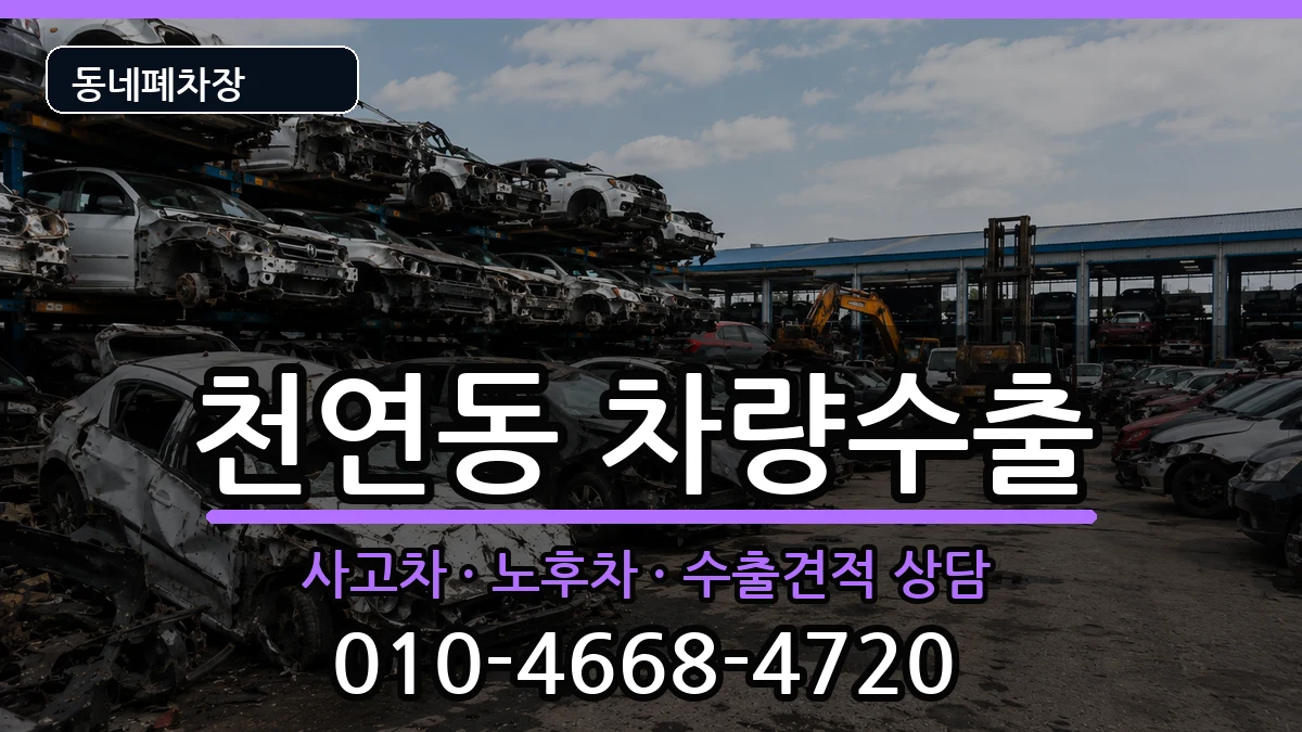 서울특별시서대문구천연동  차량수출 서류형