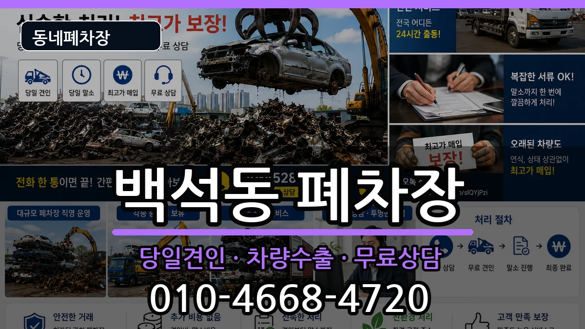 경기도고양시일산동구백석동  폐차 비교형