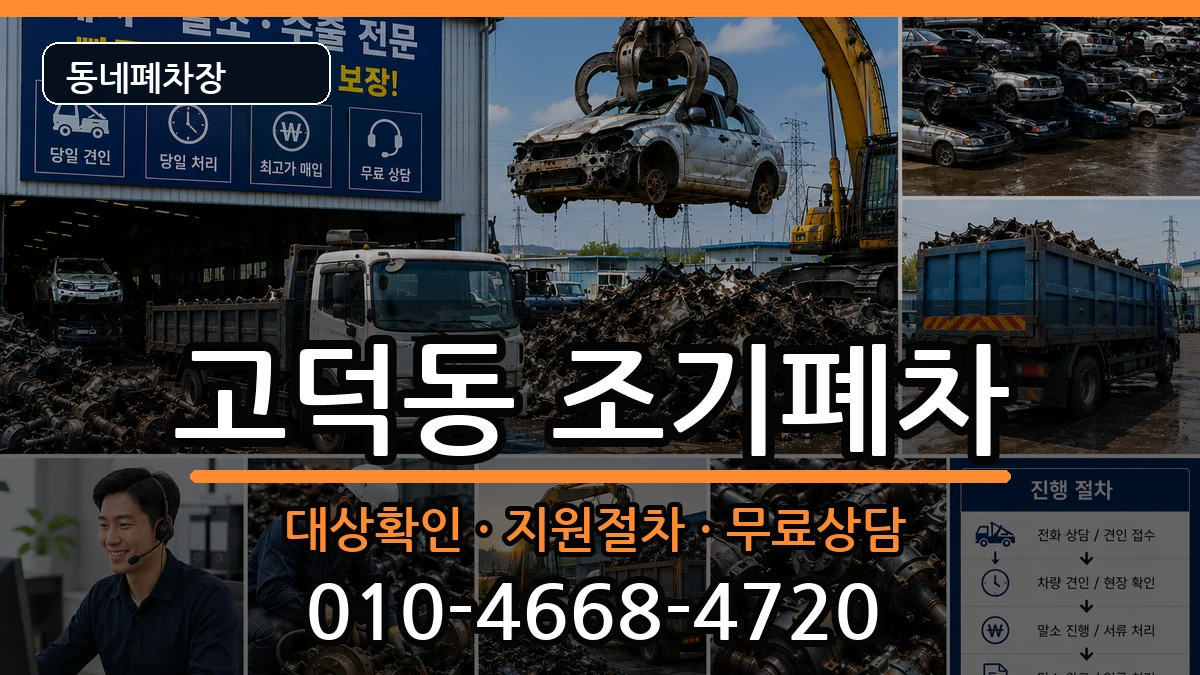 서울특별시강동구고덕동  조기폐차 비교형