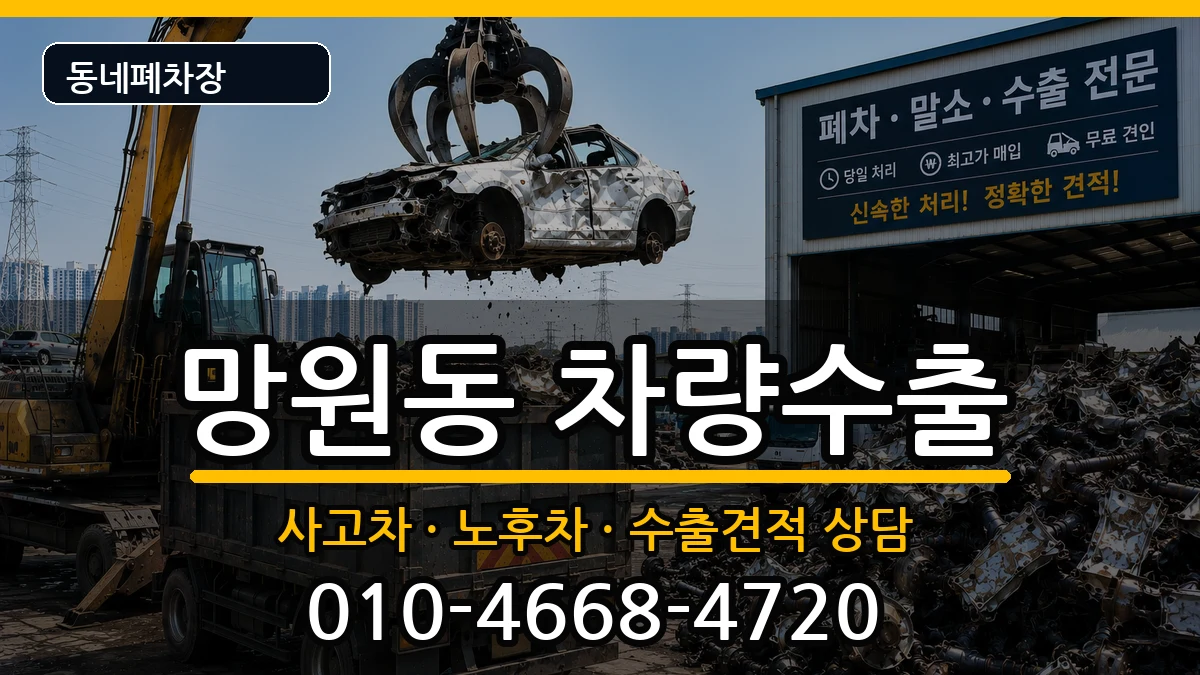 서울특별시마포구망원동  차량수출 비교형