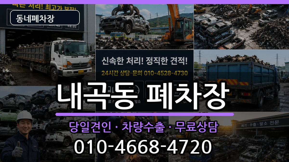 서울특별시서초구내곡동  폐차 비교형