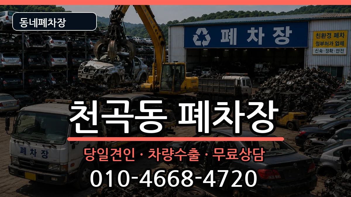 강원특별자치도동해시천곡동  폐차 정보형