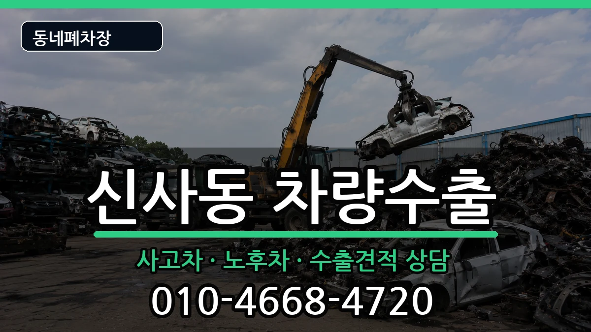 서울특별시강남구신사동  차량수출 서류형