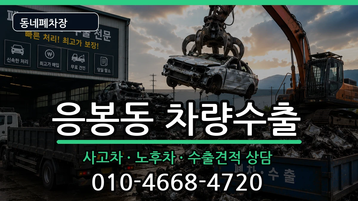 서울특별시성동구응봉동 차량수출 차량 처리 안내 이미지 2