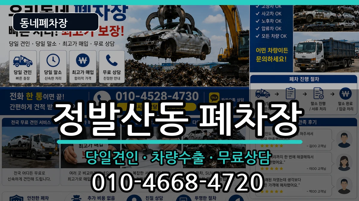 경기도고양시일산동구정발산동  폐차 비교형