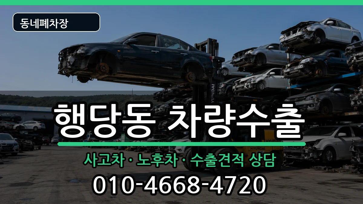 서울특별시성동구행당동  차량수출 서류형