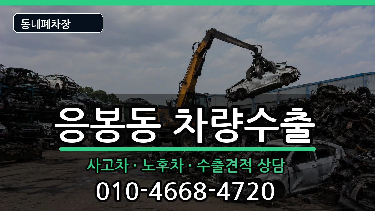 서울특별시성동구응봉동 차량수출 차량 처리 안내 이미지 3