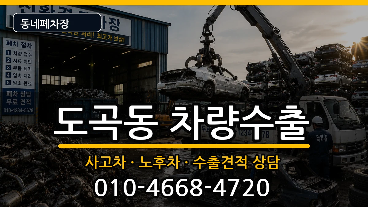 서울특별시강남구도곡동  차량수출 지역형