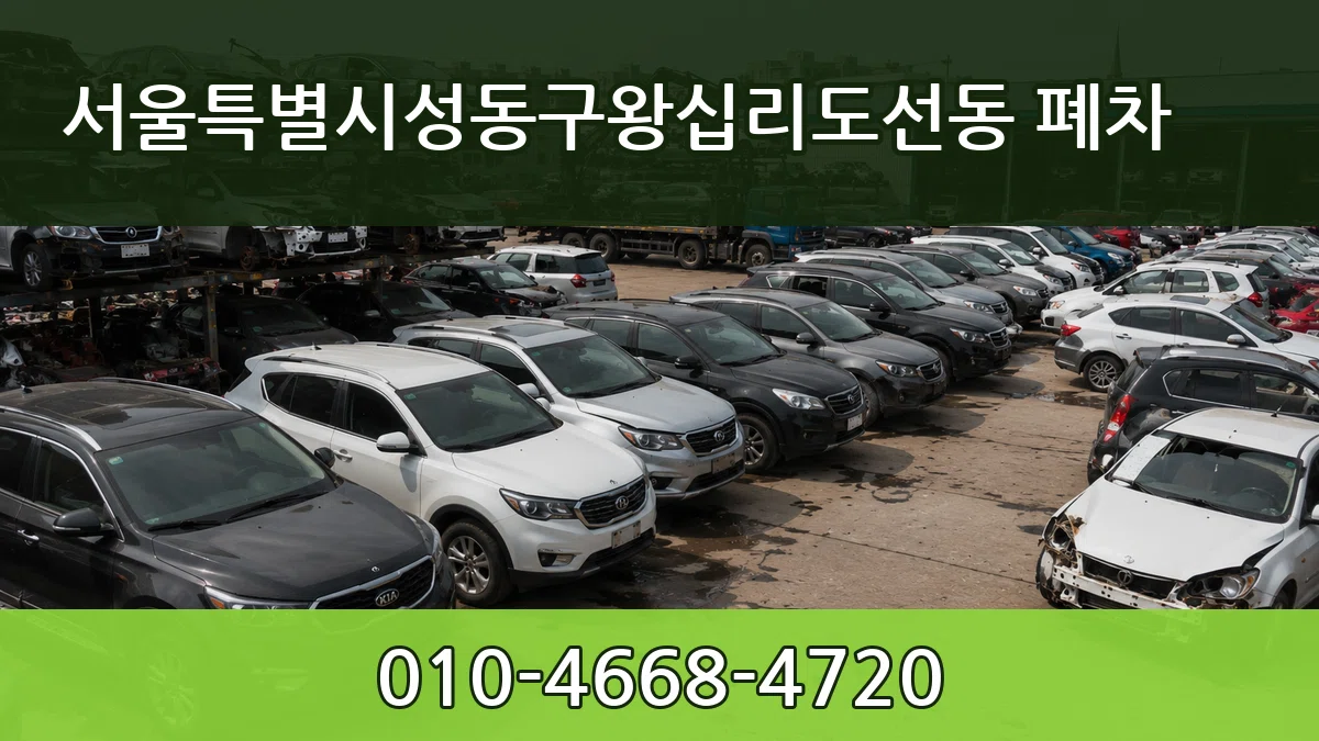 서울특별시성동구왕십리도선동 폐차 서울특별시성동구왕십리도선동 폐차 차량 처리 안내 이미지 2